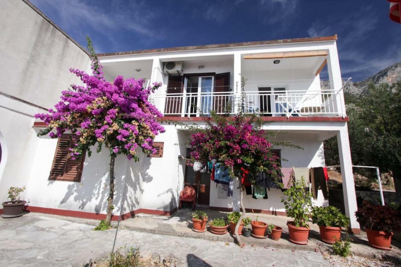 בריסט Apartments Elenora מראה חיצוני תמונה